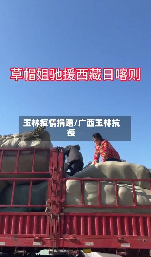 玉林疫情捐赠/广西玉林抗疫
