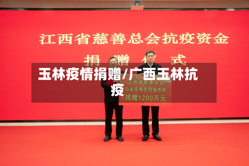 玉林疫情捐赠/广西玉林抗疫-第3张图片