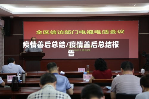 疫情善后总结/疫情善后总结报告