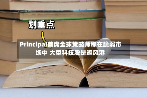 Principal首席全球策略师称在脆弱市场中 大型科技股是避风港-第2张图片