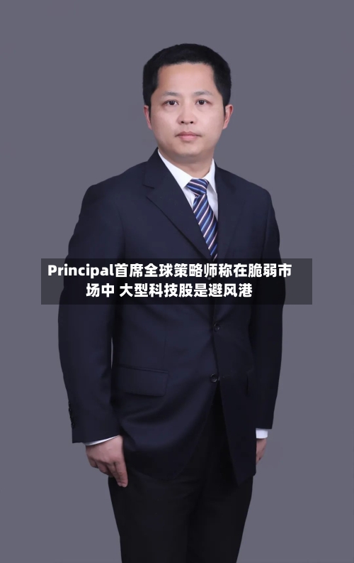Principal首席全球策略师称在脆弱市场中 大型科技股是避风港-第3张图片