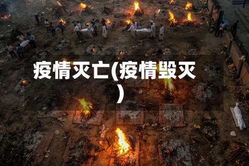 疫情灭亡(疫情毁灭)-第3张图片