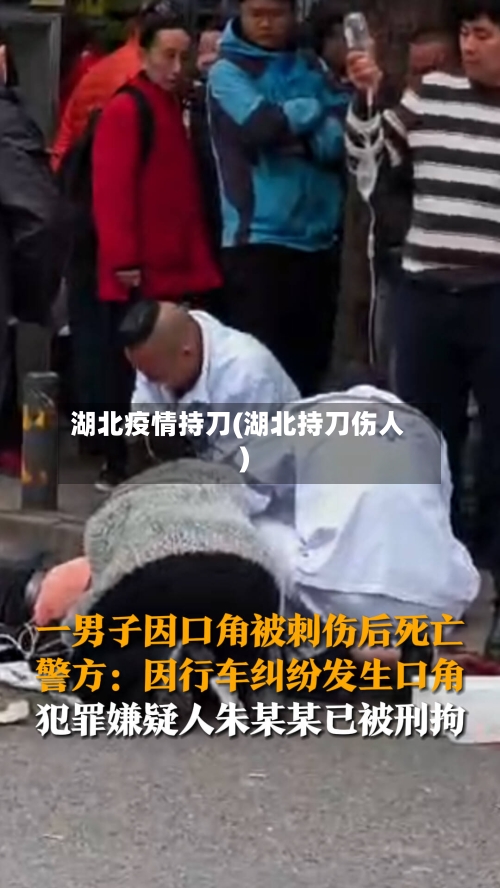 湖北疫情持刀(湖北持刀伤人)