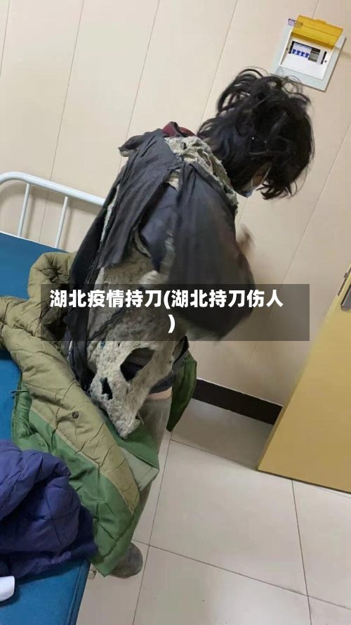湖北疫情持刀(湖北持刀伤人)-第2张图片