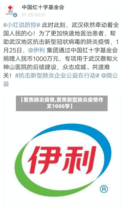 【聚焦肺炎疫情,聚焦新型肺炎疫情作文1000字】-第2张图片