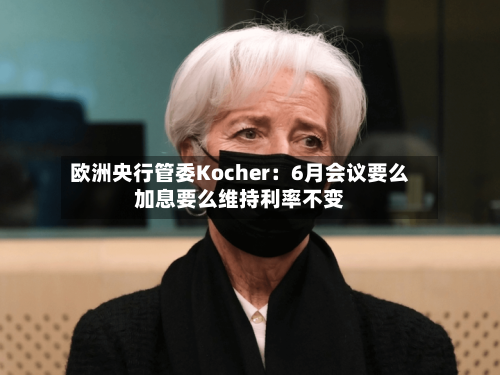 欧洲央行管委Kocher:6月会议要么加息要么维持利率不变-第2张图片