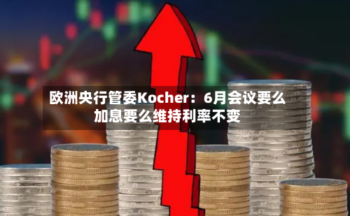 欧洲央行管委Kocher：6月会议要么加息要么维持利率不变