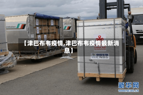 【津巴布韦疫情,津巴布韦疫情最新消息】-第2张图片
