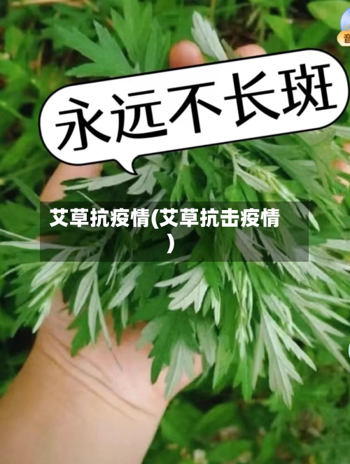 艾草抗疫情(艾草抗击疫情)-第2张图片