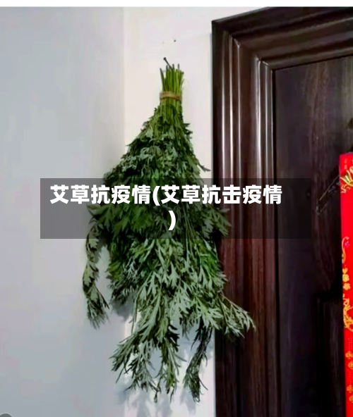 艾草抗疫情(艾草抗击疫情)