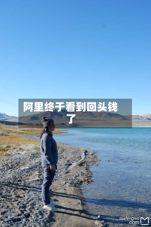 阿里终于看到回头钱了