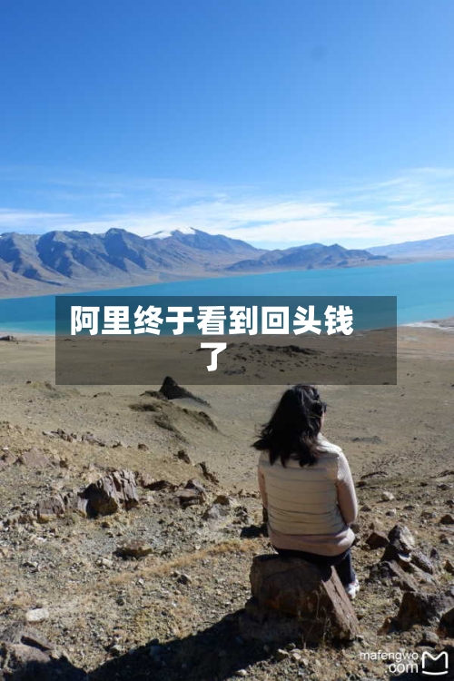 阿里终于看到回头钱了-第3张图片