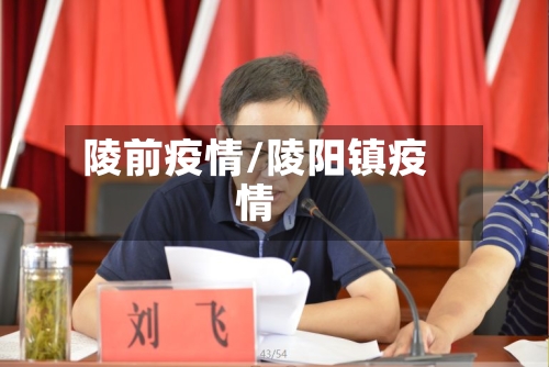 陵前疫情/陵阳镇疫情