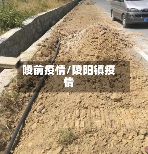 陵前疫情/陵阳镇疫情-第3张图片