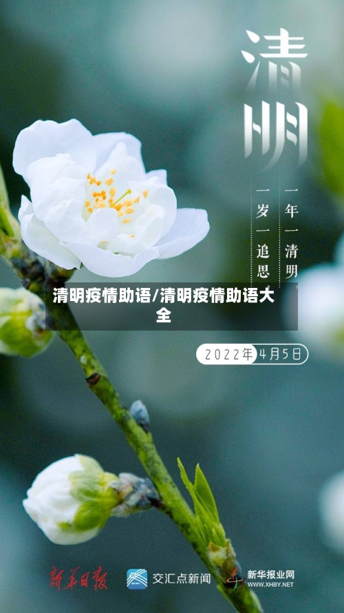清明疫情助语/清明疫情助语大全-第2张图片