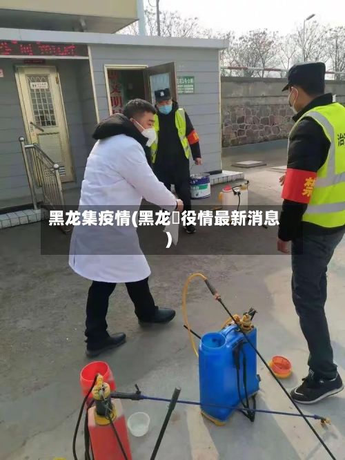 黑龙集疫情(黑龙冮役情最新消息)