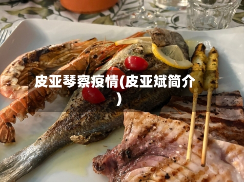 皮亚琴察疫情(皮亚斌简介)