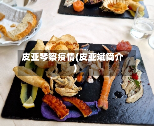 皮亚琴察疫情(皮亚斌简介)-第2张图片