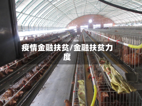 疫情金融扶贫/金融扶贫力度