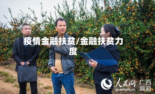 疫情金融扶贫/金融扶贫力度-第2张图片