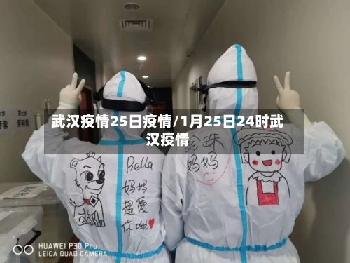 武汉疫情25日疫情/1月25日24时武汉疫情