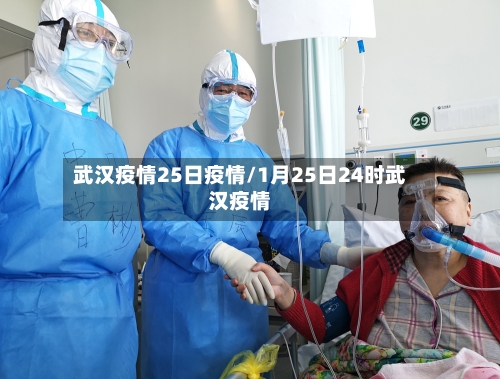 武汉疫情25日疫情/1月25日24时武汉疫情-第2张图片