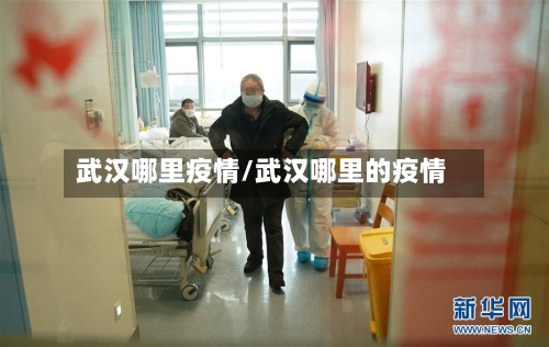 武汉哪里疫情/武汉哪里的疫情