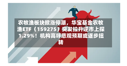 农牧渔板块掀涨停潮，华宝基金农牧渔ETF（159275）突发拉升逆市上探1.29%！机构高呼悲观预期或逐步扭转