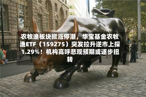农牧渔板块掀涨停潮，华宝基金农牧渔ETF（159275）突发拉升逆市上探1.29%！机构高呼悲观预期或逐步扭转-第2张图片