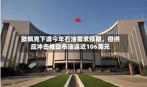 欧佩克下调今年石油需求预期，但供应冲击推动布油逼近106美元