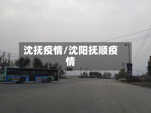 沈抚疫情/沈阳抚顺疫情