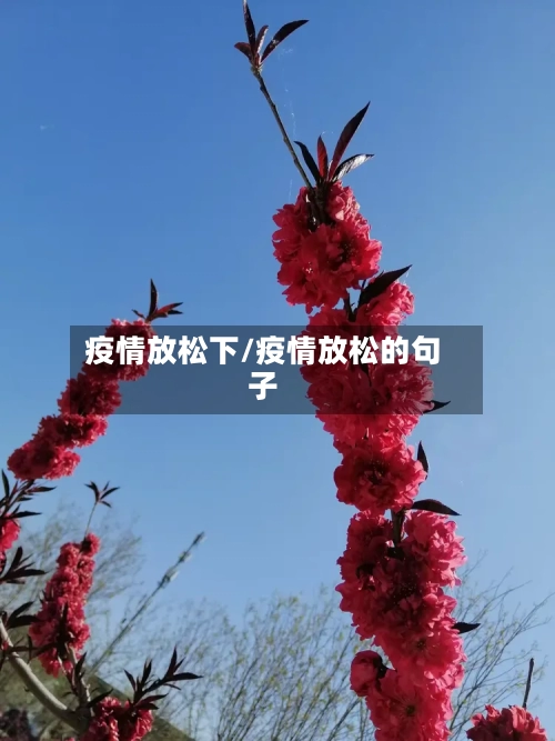 疫情放松下/疫情放松的句子-第3张图片