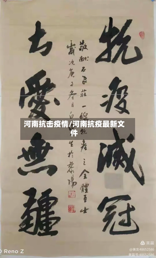 河南抗击疫情/河南抗疫最新文件-第3张图片