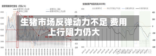 生猪市场反弹动力不足 费用上行阻力仍大