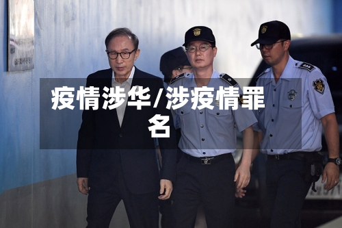疫情涉华/涉疫情罪名