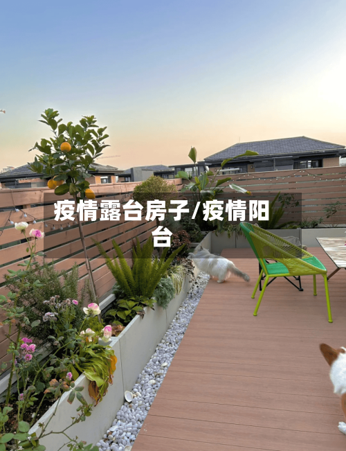 疫情露台房子/疫情阳台