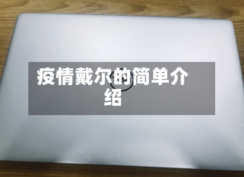疫情戴尔的简单介绍