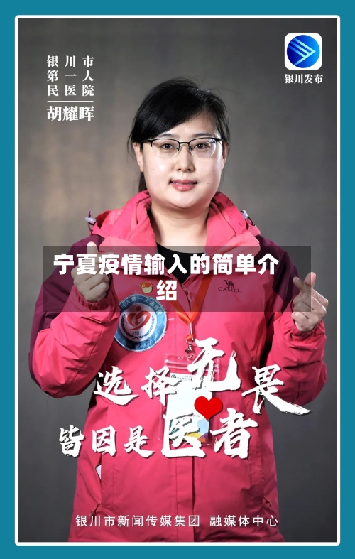 宁夏疫情输入的简单介绍