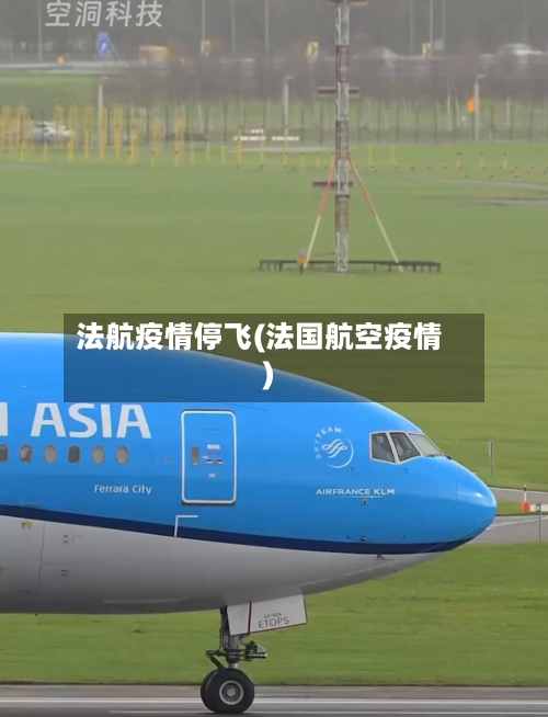 法航疫情停飞(法国航空疫情)