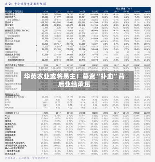 华英农业或将易主！募资“补血”背后业绩承压