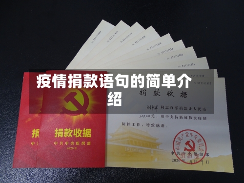 疫情捐款语句的简单介绍