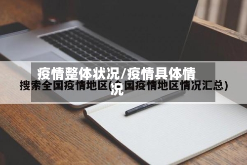 疫情整体状况/疫情具体情况