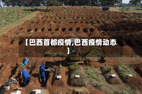 【巴西首都疫情,巴西疫情动态】