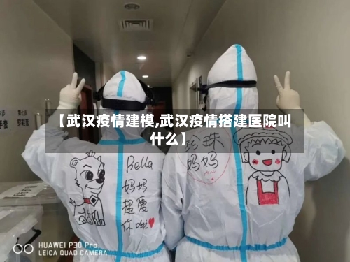 【武汉疫情建模,武汉疫情搭建医院叫什么】