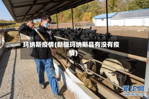 玛纳斯疫情(新疆玛纳斯县有没有疫情)
