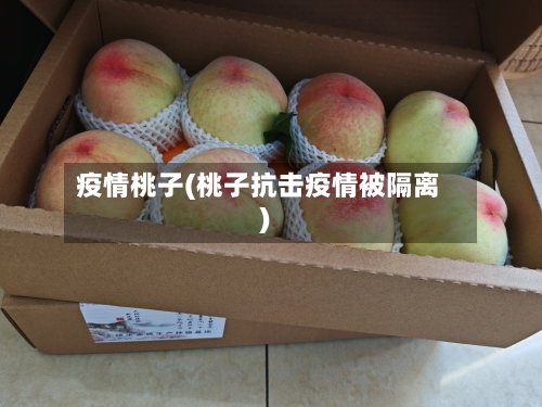 疫情桃子(桃子抗击疫情被隔离)