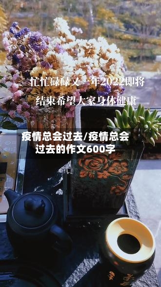 疫情总会过去/疫情总会过去的作文600字