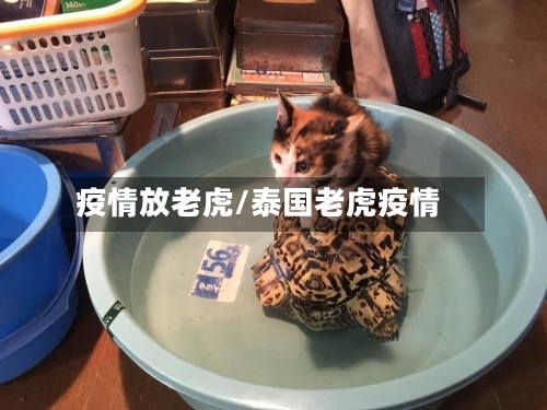 疫情放老虎/泰国老虎疫情