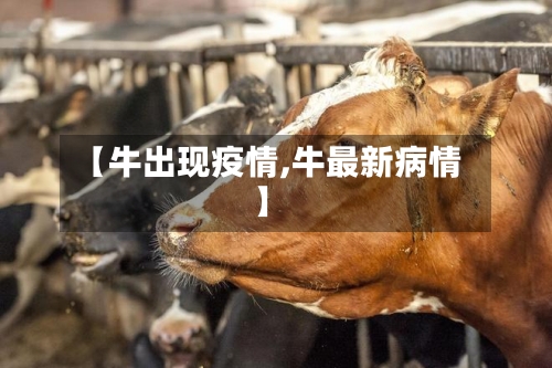【牛出现疫情,牛最新病情】