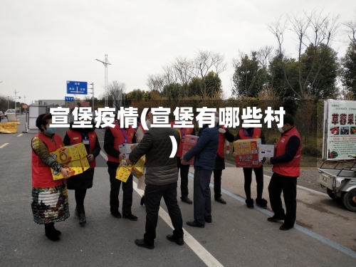 宣堡疫情(宣堡有哪些村)